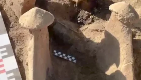 Elazığ’daki Tadım Kalesi kazılarında binlerce yıllık kurban ritüeli izleri ortaya çıkarıldı